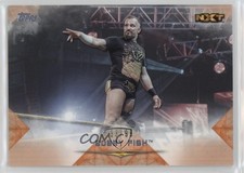 2020 Topps WWE Undisputed Orange 33/99 Bobby Fish #53 1lw4