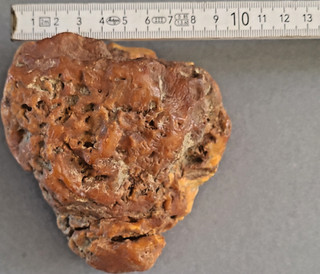 Bernstein Rohstück honigbraun ca. 238 5 g Fossiltyp Butterscotch Sammlerstück