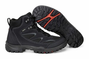 ecco drak gtx
