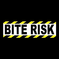 Funny "BITE RISK" warning decal BUMPER STICKER goth girl punk rock emo weird