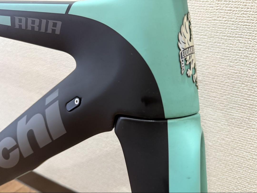 Bianchi Aria Disc 2020 44 Size | eBay