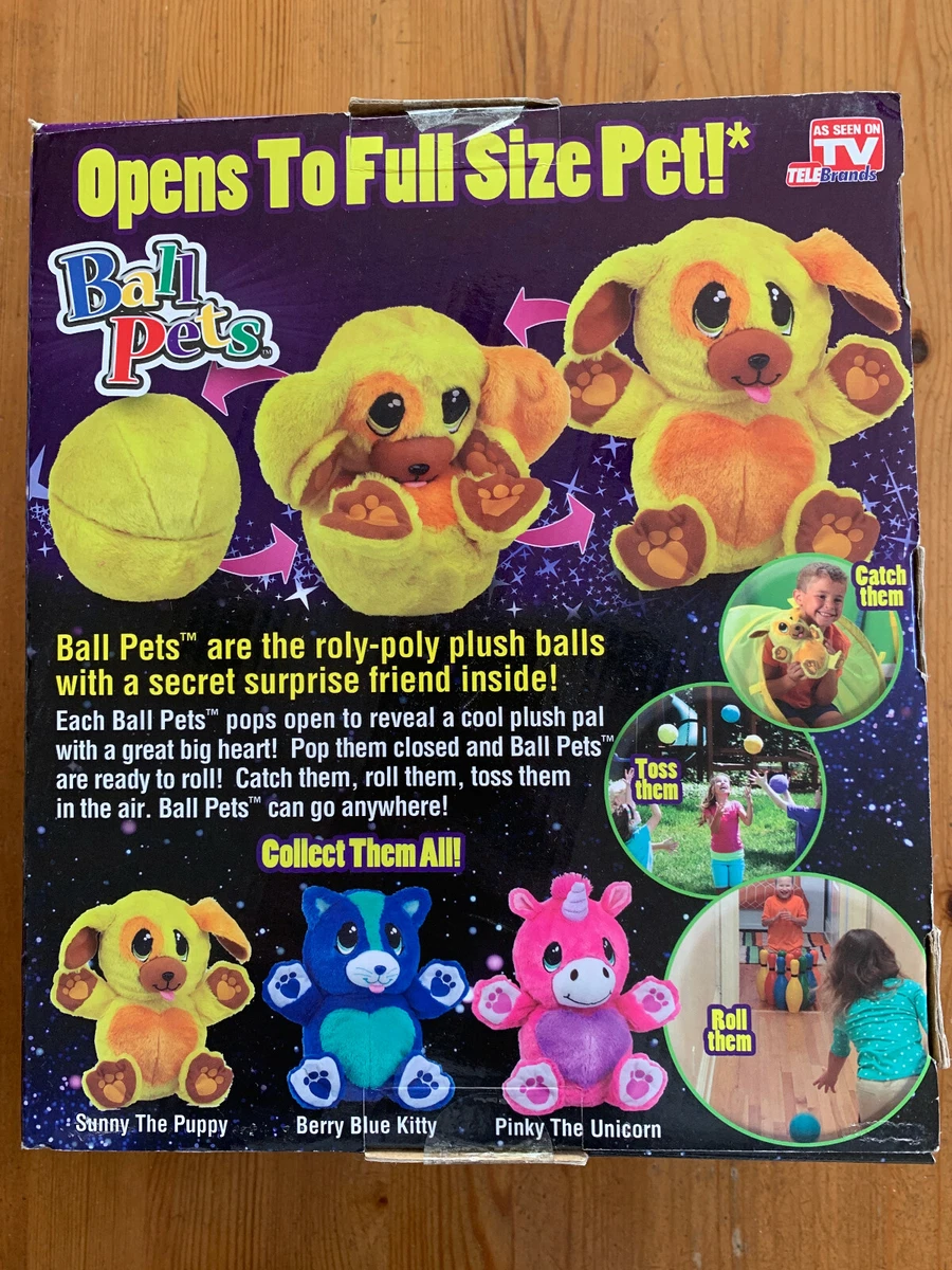 As Seen on TV Telebrands Ball Pets (Puppy)