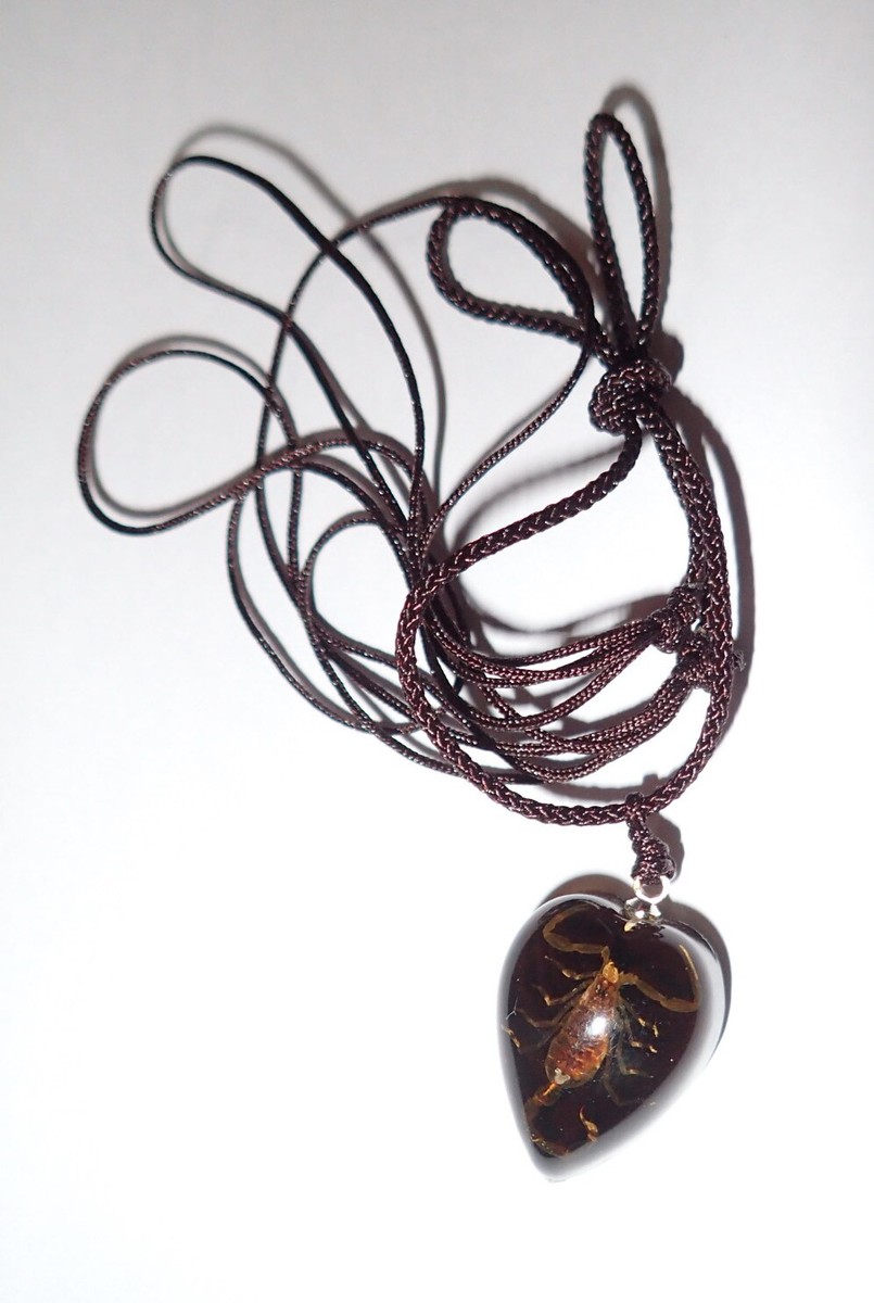 Insect Small Necklace Golden Scorpion Specimen Heart Shape Black