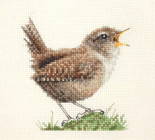 SINGING WREN Garden Bird, Full counted cross stitch kit  *Fido Stitch Studio