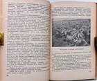 Foto 5 di 11