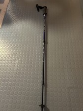 Wanderstock Black Bear