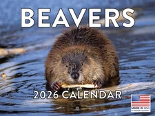 Beaver Calendar 2026 Monthly Wall Calender 12 Month