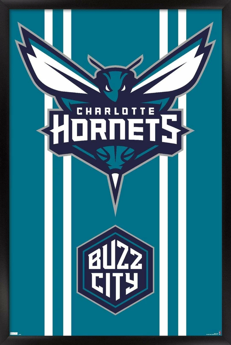 NBA Charlotte Hornets - Logo 20 Poster | eBay