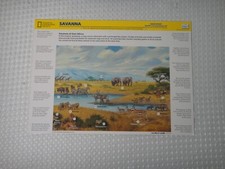 GeoSafari Learning Game Replacement Card Earth's Ecosystems 7 8 EI 8765