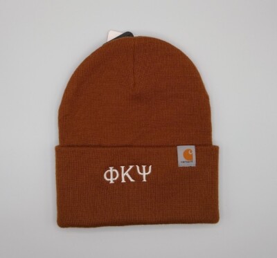 Carhartt NWT Embroidered beanie. NWT hand embroidered Carhartt beanie White - $40 New With  main image 2