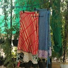 Picture 4 of 8