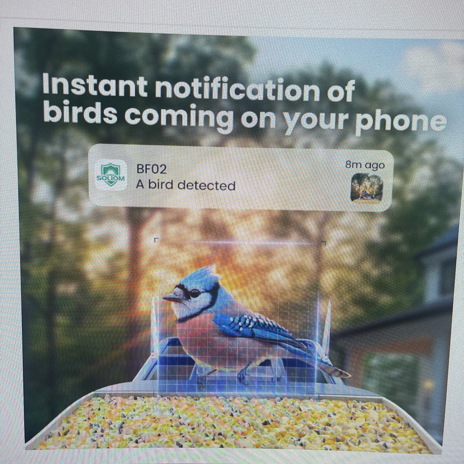 SOLIOM BF02 Bird Feeder with Camera Wireless Outdoor, 2K HD Wild Bird Watchin...