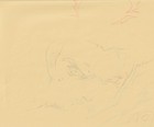 The Twelve Kingdoms Juuni Kokki Genga Douga Original Sketches Pierrot - Yuka — photo 7