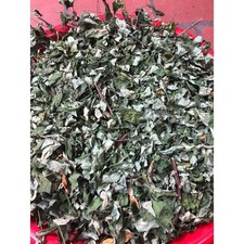 Dried starfruit leaves