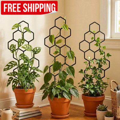 2PCS Honeycomb Plant Trellis Climbing Ivy Vine Hoya Support for Indoor Pot Plant