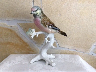 ENS Porzellan Porzellanfigur toller  Vogel Birkenzeisig auf Ast-Top Zustand! - Bild 1 von 4