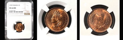 1909 1C NGC MS66RD-PURE RED -POP 50-PURE RED-PQ INDIAN HEAD SMALL CENT---