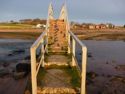Foto A3 Küste Ost Lothian: Blick einer Billy-Ziege auf die Brücke bei Bel c2011
