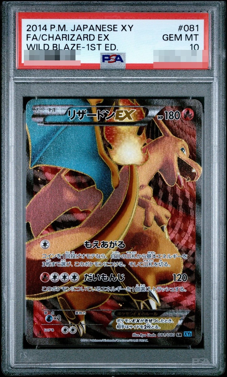 Charizard ex 081/080 Xy2: Wild Blaze for sale | eBay