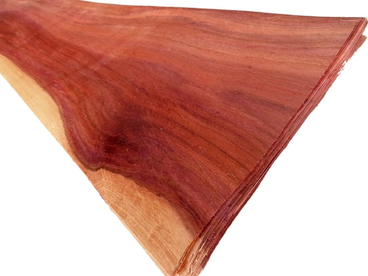 24 hojas CIRUELA CIRUELA chapa chapa de madera auténtica hoja construcción de muebles estante madera noble