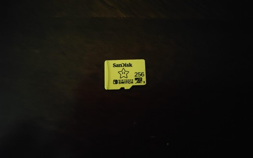 SanDisk 256GB Nintendo Switch microSD Memory Card