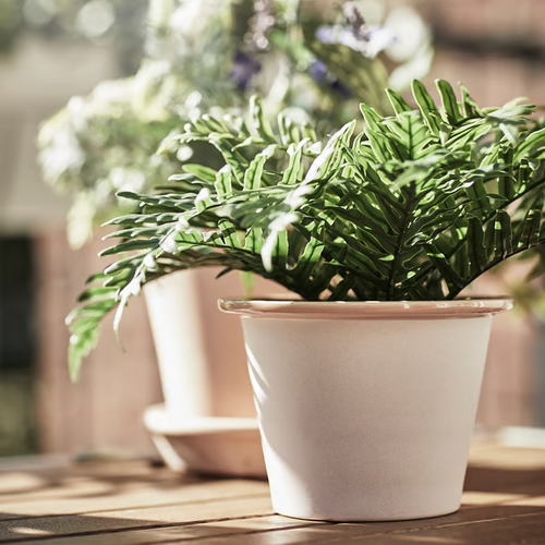 IKEA FEJKA Artificial Potted Plant – Indoor/Outdoor, Realistic Greenery 3 Sizes - Picture 8 of 15