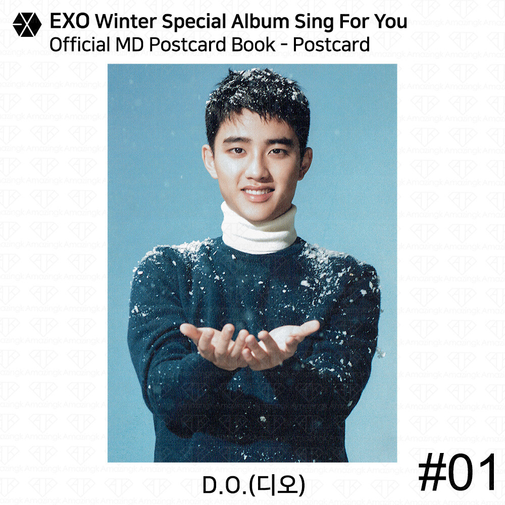 EXO Winter Special Album Sing For You Official MD 4x6 Photo