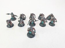 Hordes Minions Farrow Commandos Lot Set PRO PAINTED