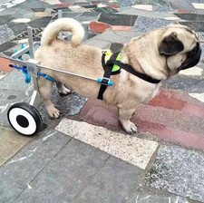 Adjustable Dog Wheelchair/Cart for Back Legs,Pet/Doggie Doggy Wheelchairs XXXS
