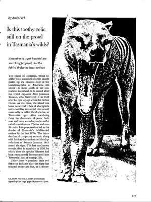 Smithsonian Lanky Tasmanian Tiger 1920 Zoo film Original Vintage Print Ad