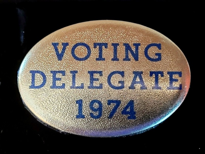 1974 Voting Delegate Gold Shimmer Political Campaign Pinback Button Badge