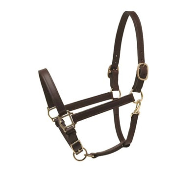 Perris Leather Turnout Halter - Havana - Cob - With FREE personalized Plate