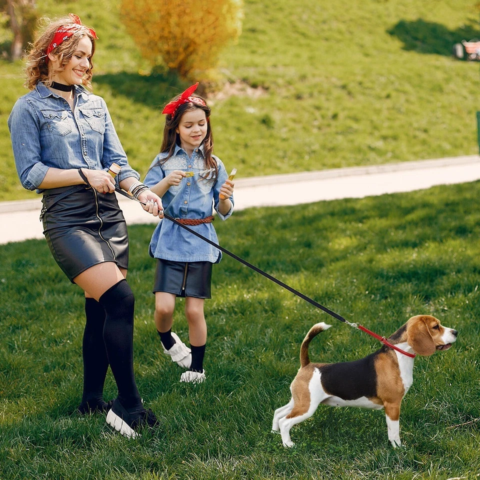 Cuello Martingala de Cuero Genuino Enrollado Suave Foto 2 de 4