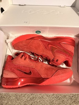 Nike LeBron NXXT Gen AMPD James Gang Red Low Top Lace-Up Basketball FJ1566-600