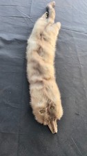 Light Tan 23" Fox Pelt