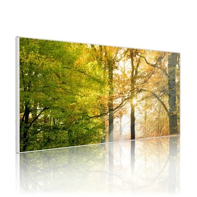 banjado Design Magnettafel beschreibbar magnetische Pinnwand Motiv Herbstwald - Bild 1 von 4