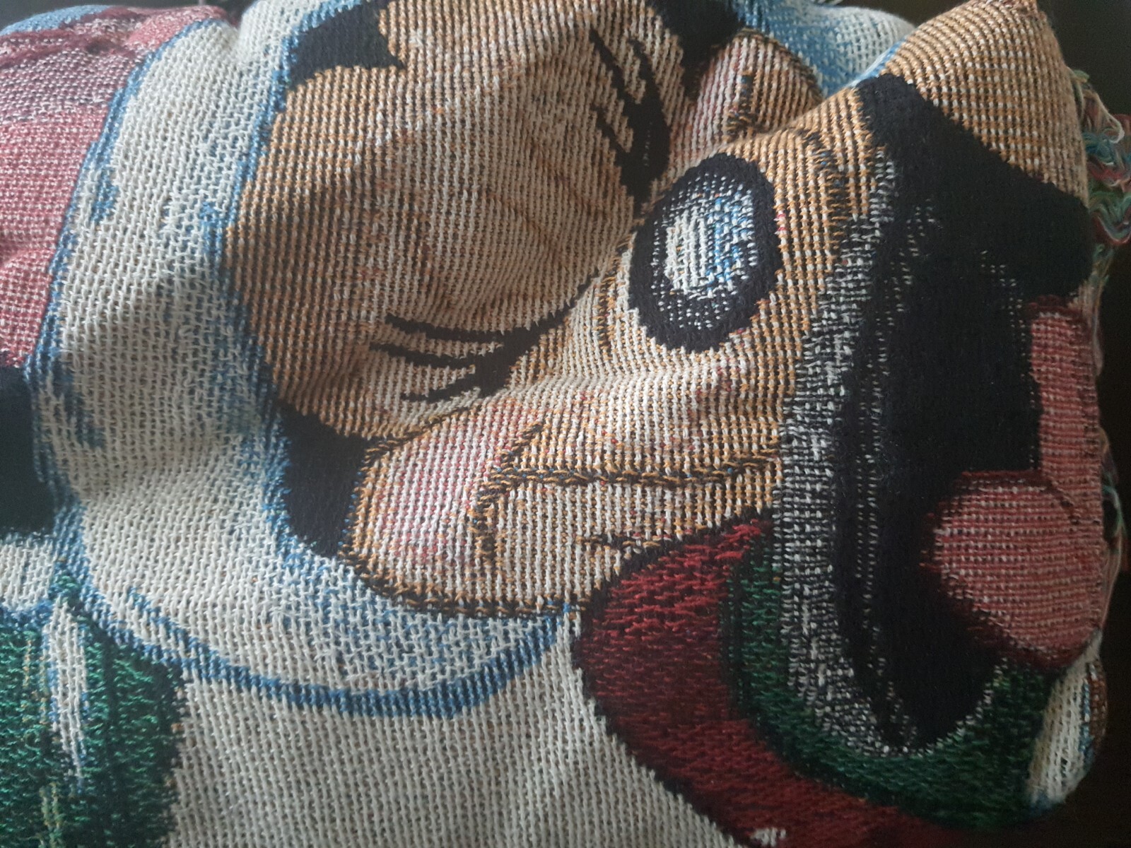 Picture 5 of 5