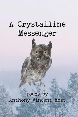 A Crystalline Messenger by Anthony Vincent Most (English) Paperback Book