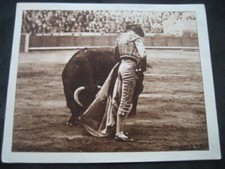 BULL PROGRAM PHOTO HANDLE. ZARAGOZA 1950. L. MIGUEL DOMINGUIN, J. APARICIO. 5