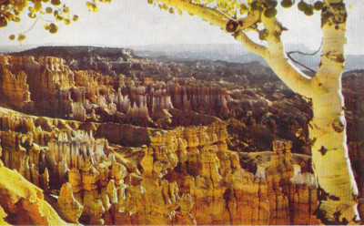 Aerial View Bryce Canyon From Sunset Point Utah UT Near Mint Vintage Postcard