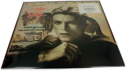 TIN MACHINE DAVID BOWIE RARE LP BOOTLEG NO ZIGGY NO IGGY JUST A