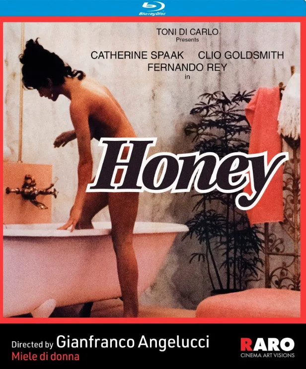 Honey (Std. Blu-ray)