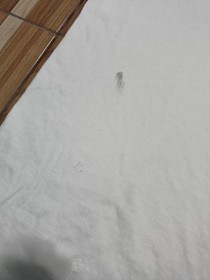 Vintage Tomb Raider The Last Revelation 2000 Video Game Promo 90s Rare Shirt XL