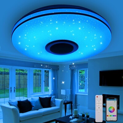 LED Ceiling Lamp Dimmable Ceiling Light Bedroom Living Room Starry Sky