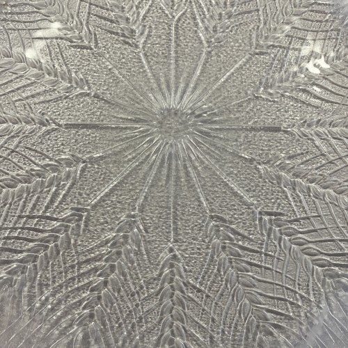 2 COUNTRY WHEAT 10" Glass Dinner Plates Embossed - Picture 3 of 6