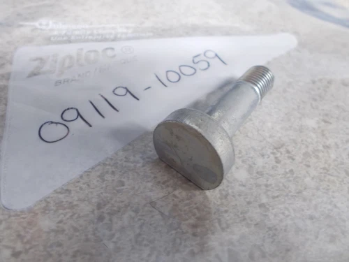 BOLT (10X38)