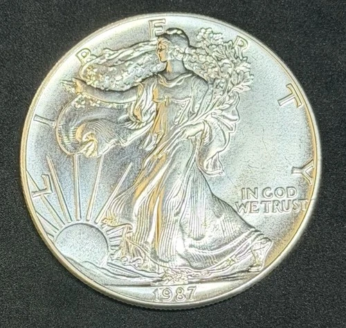 1987 American Silver Eagle 1 Oz .999 Fine Coin, No Reserve #613