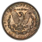 1904-O $1 Morgan Silver Dollar - Neon Rainbow Toning - BU - VIDEO - SKU-D3939