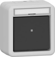 Gira 315630 Wipptaster 10A 250V Beschriftungsfeld Wechsler 1-Polig Wg Ap Grau