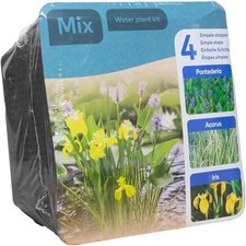 Complete Waterplants Pond Plant Kit - Trio Mix (Acorus, Yellow Iris, Pontederia)